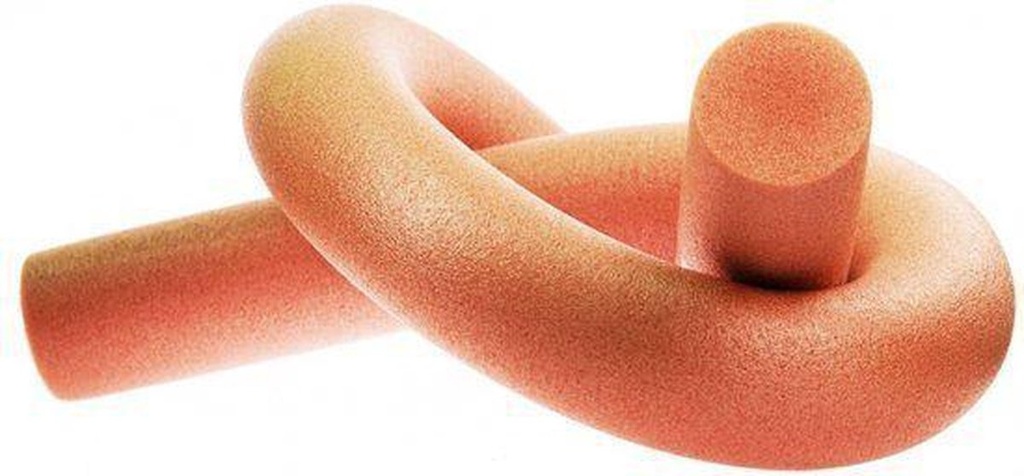 pool noodle